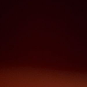 Meet your Posher, Luis